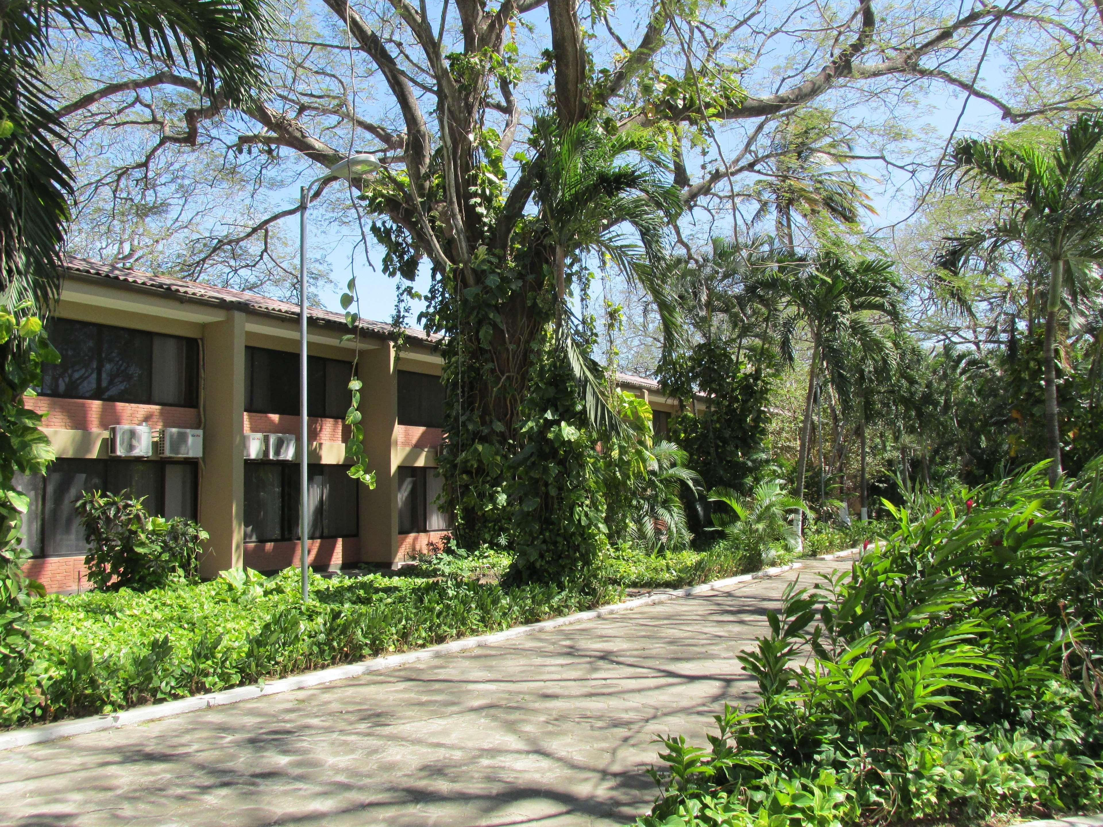 Best Western El Sitio Hotel & Casino Liberia Εξωτερικό φωτογραφία